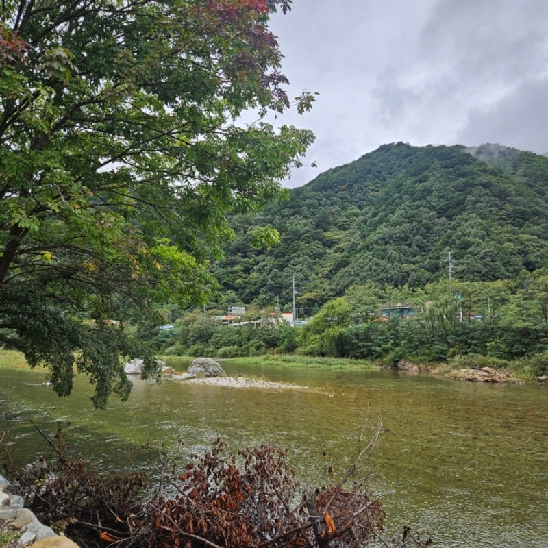 인제 구만동계곡, 구만동오토캠핑장
