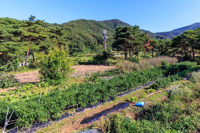 초롱별 야영장 시설 사진 7