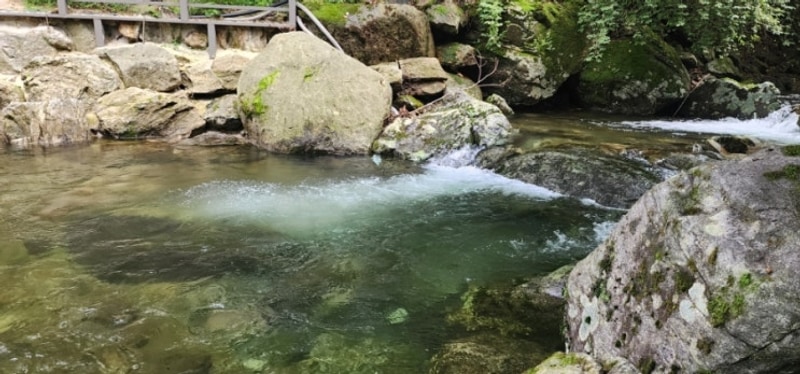남양주 포레스트 벨리 캠프 계곡가족 2 후기