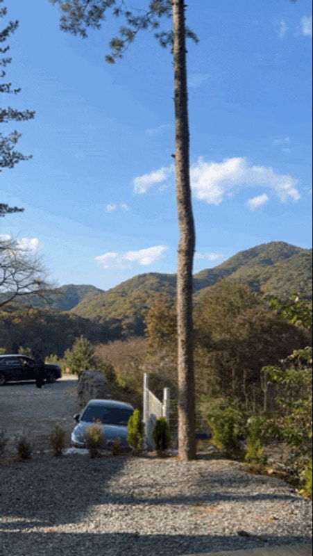 숲 뷰가 너무 예쁜 홍천️[수타사 힐링캠프]꿀사이트 추천!...