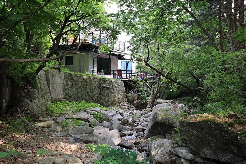 숲속다람쥐 캠프 시설 사진 4