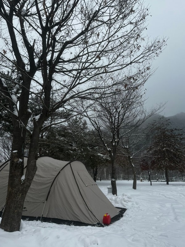 혹한기 겨울 캠핑 가평 블루래빗 오토 캠핑장