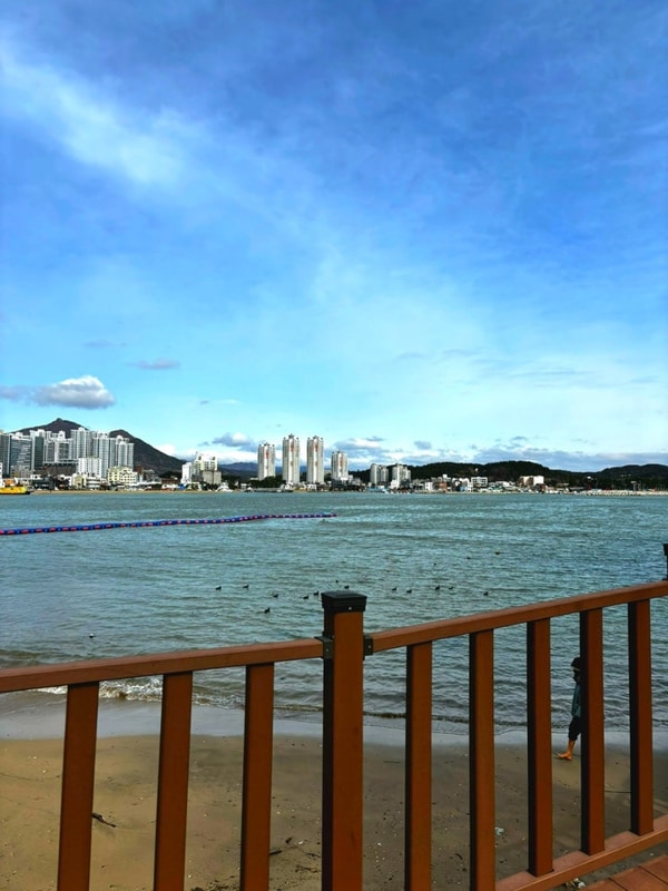 부산 기장 지오클럽 카라반 | 바다뷰 캠핑, 감성가득 힐링 여행