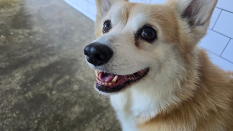 연인들을 위한 조용한 캠핑장 가평 포레스트소울