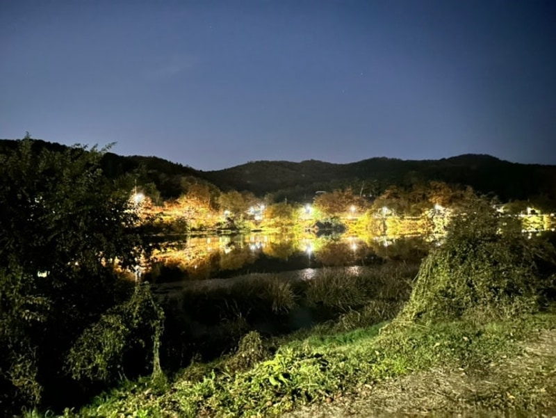 420. 대구캠핑장 금호강오토캠핑장 11/24 아드님들 방문캠핑