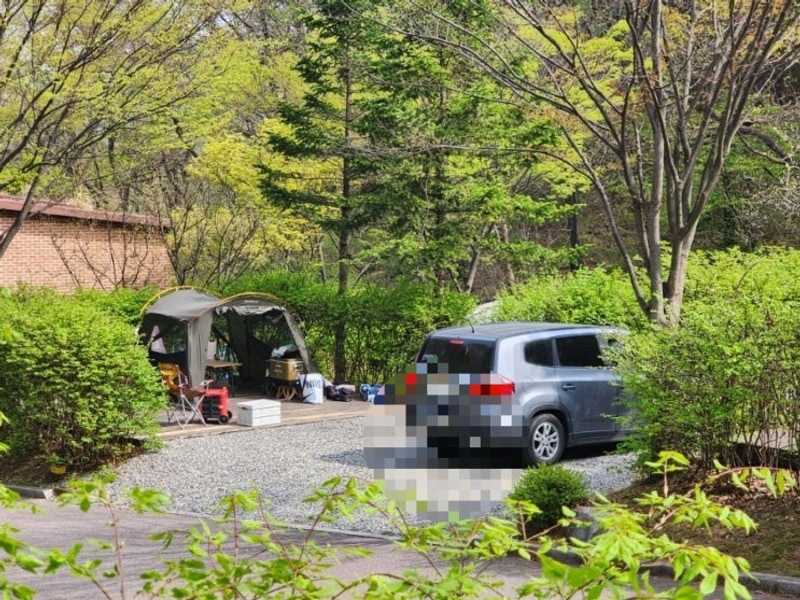 서울 근교 캠핑장 광명 도덕산 캠핑장