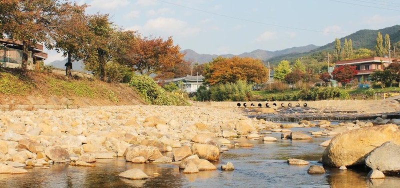 소나무 풍경 펜션 야영장 시설 사진 21