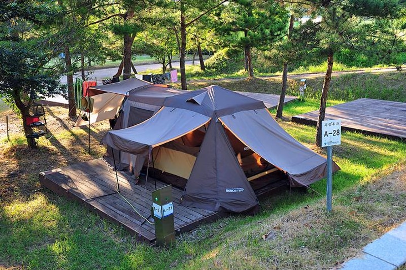 팔영산야영장 대표 사진