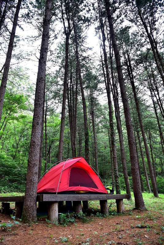 태안캠핑장 구름포해변캠핑장 대가족 캠핑
