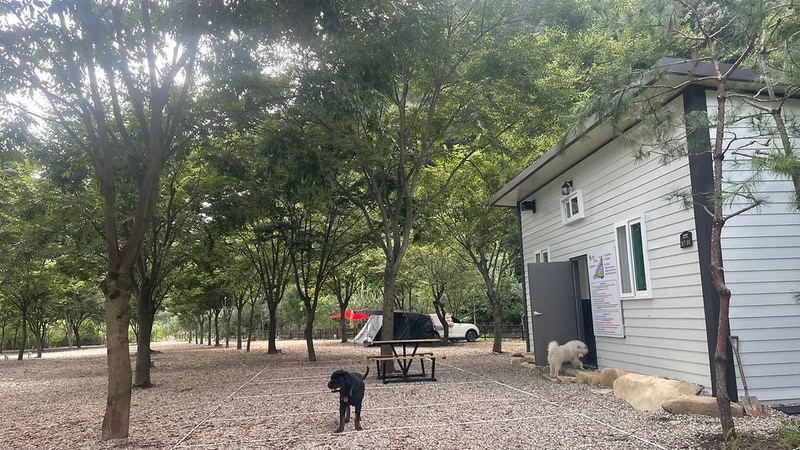 좋은하루캠핑장 시설 사진 1