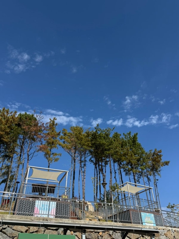 (오토캠핑)구봉산 숲속 야영장