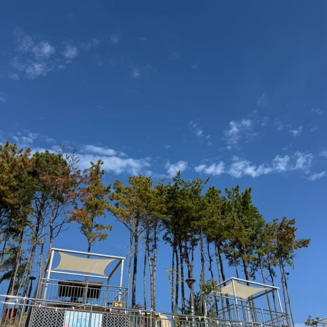 구봉산 숲속야영장