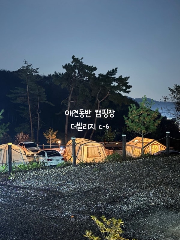 진천 더빌리지 애견동반 대형사이트 캠핑장 c사이트