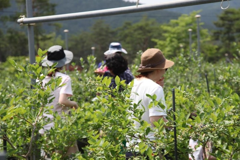 숲속의베리팜 시설 사진 30