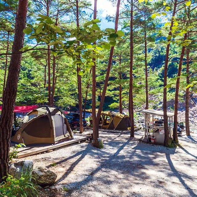왕피천 숲속 캠핑장