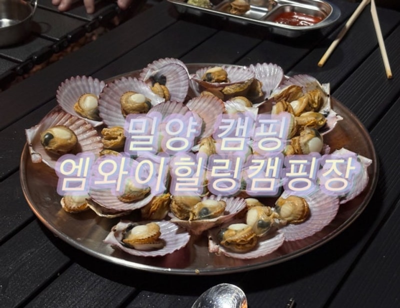 추석엔 캠핑이지 밀양 엠와이힐링캠핑장에서 추석 캠핑(2일차)