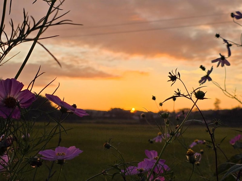 달산 글램핑 시설 사진 11