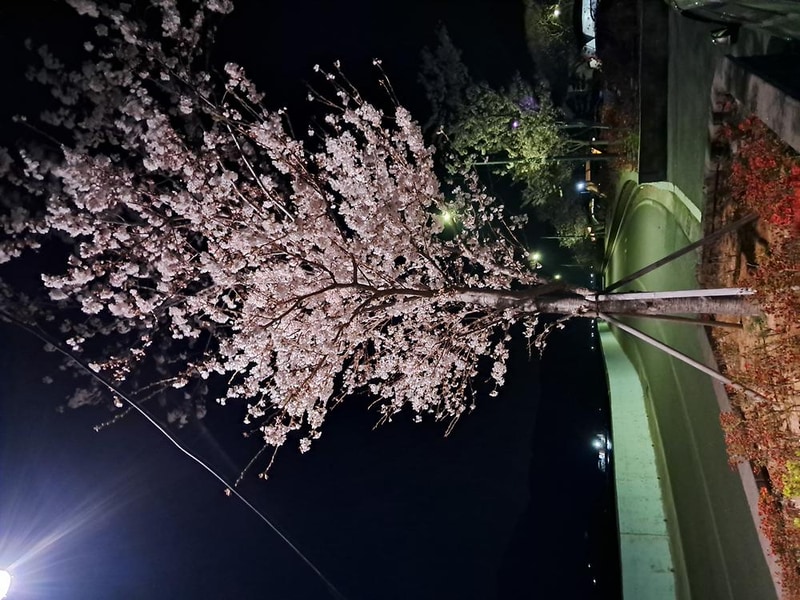 쌍근오토캠핑장 시설 사진 26