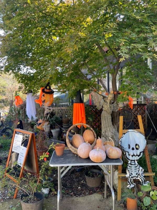 [캠핑] 파주 프로방스 캠핑장, A2 사이트 후기