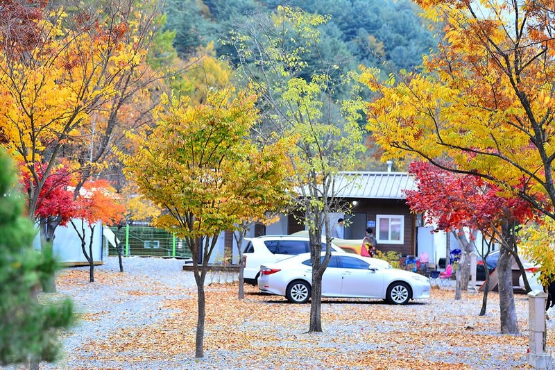 들꽃여울캠핑장 시설 사진 20