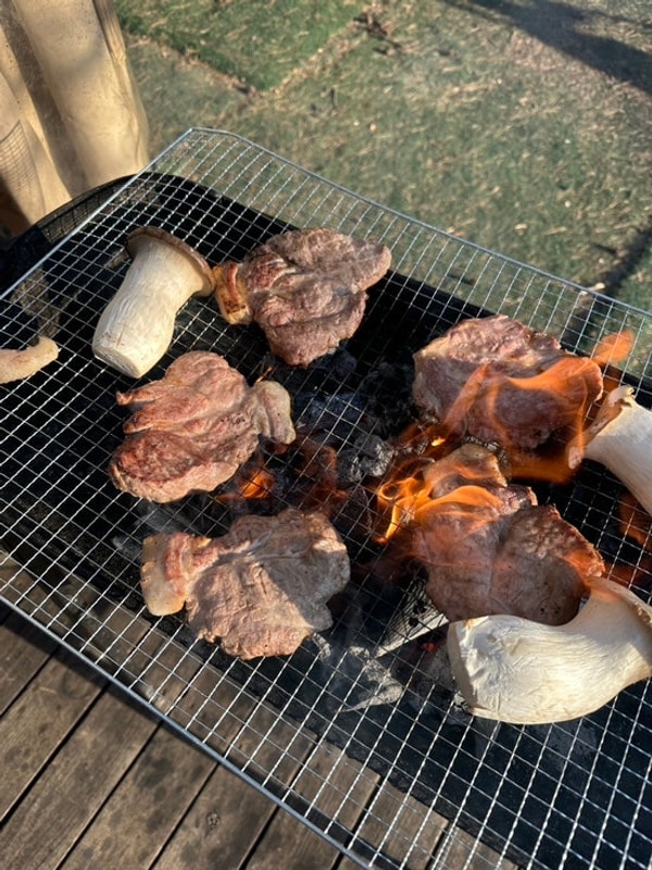 포천 카라반 글램핑️::파인트리캠핑장