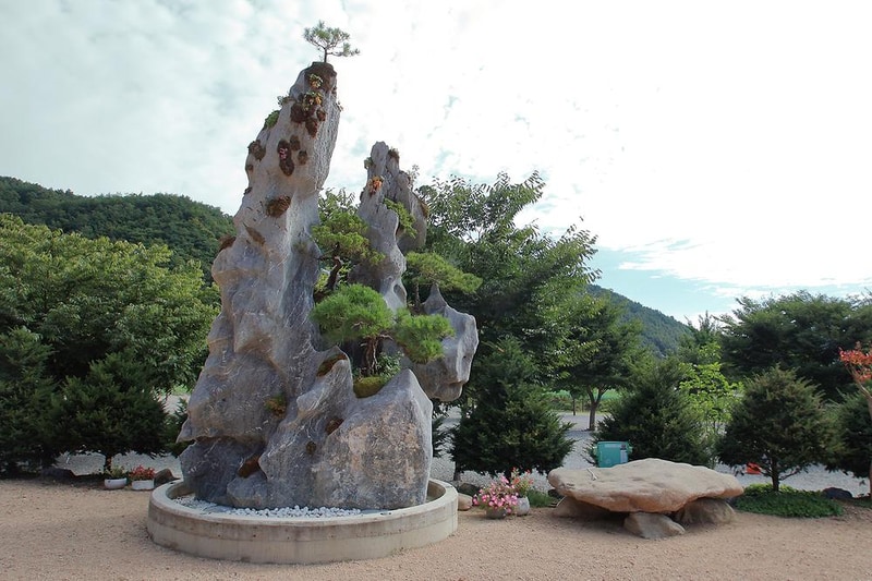 해바라기 캠핑장 시설 사진 9