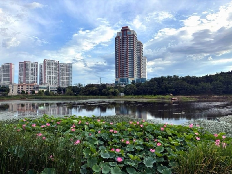 속초고성 애견동반 캠핑장 : 봉포 레이크 글램핑 오토 캠핑장