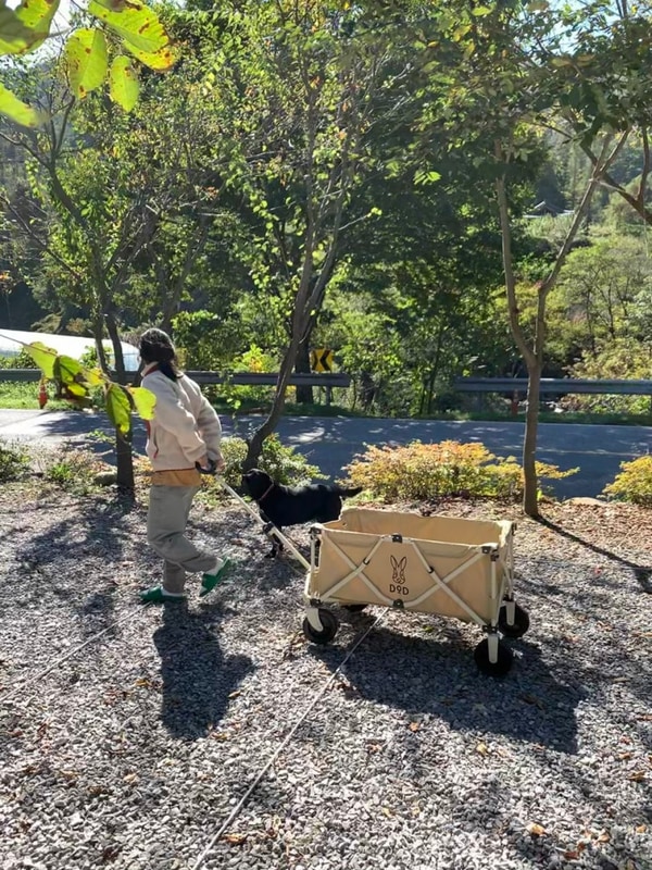 영월 내리금봉 캠핑장