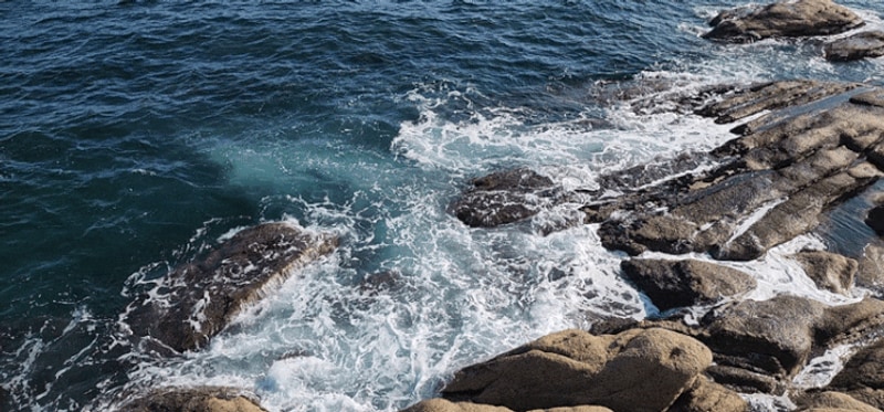 생일기념 2박3일 속초 l 뉴욕카라반, 가자미 낚시, 대포항...