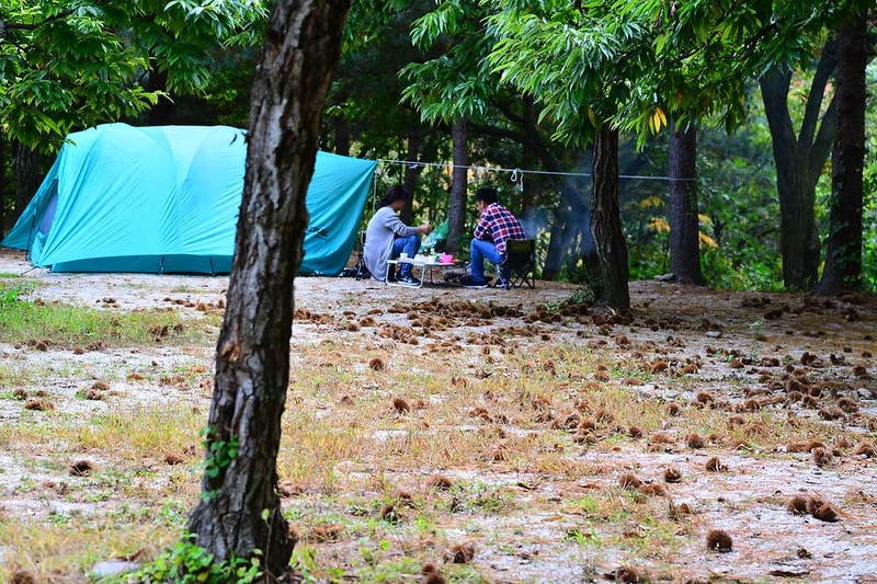 무지개 서는 마을 시설 사진 2