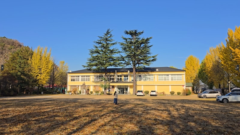 가을 단풍 캠핑장 추천 잉카마야 박물관 캠핑장 14번