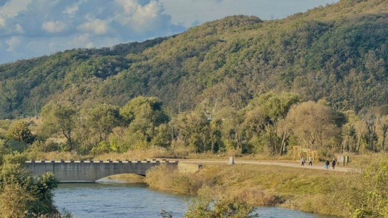 [충주 캠핑장] 캠프202 | 비내섬뷰 캠핑장 : 애견동반캠핑장...