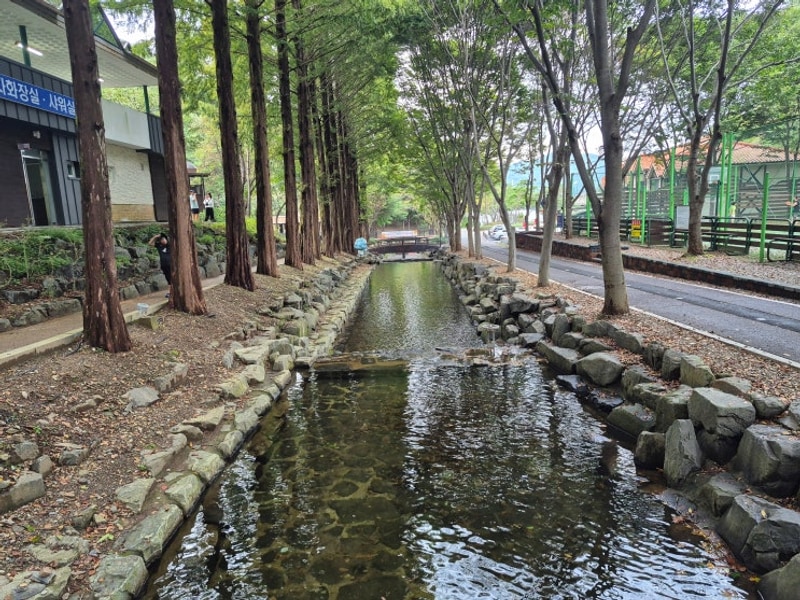 청양 칠갑산 자연휴양림 야영장 / 맑고 깨끗한 청양에서 보낸...