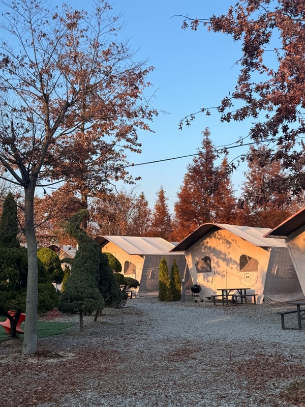 [] 충남 공주 정안글램핑 천안 산들보리밥