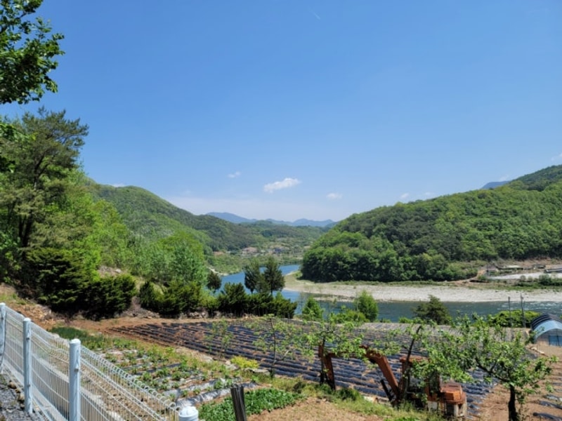 고즈넉하고 산과 강 뷰 맛집, 영월 강별캠핑장