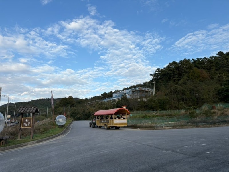 진천 마차박물관 어린이 체험 캠핑장 할로윈 캠핑