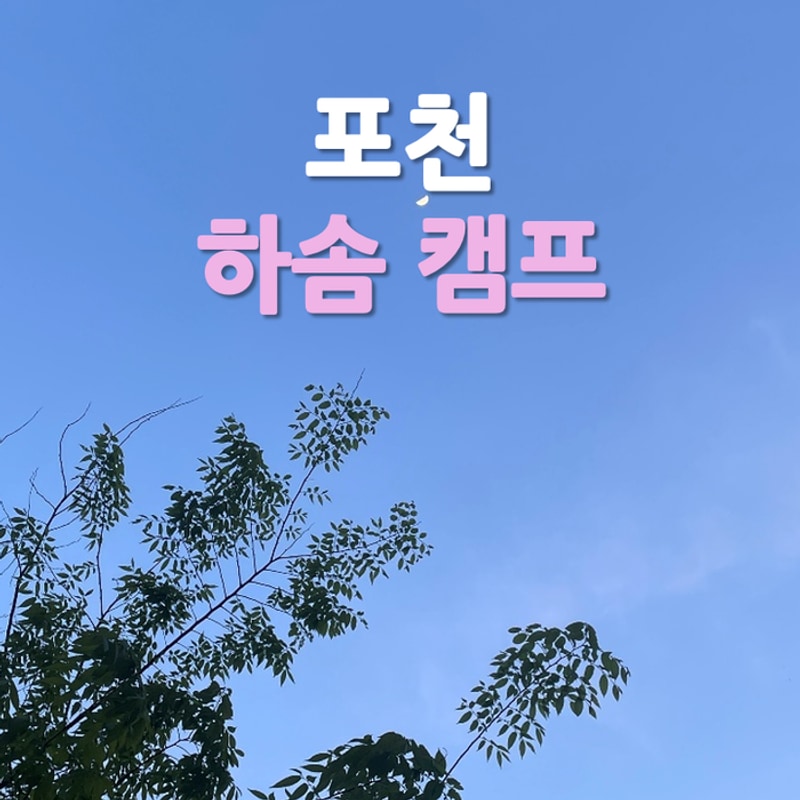 포천 하솜캠프 리뷰 (B4, B5 사이트)