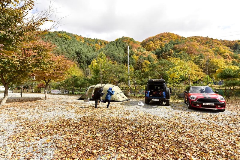 홀리데이캠핑장 시설 사진 8