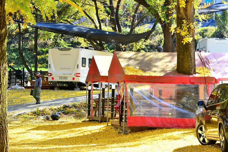 자이언트레저 시설 사진 11