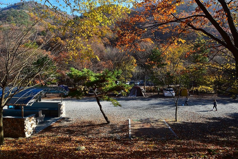 금산산림문화타운 시설 사진 5