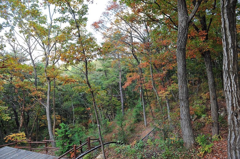 입화산 참살이숲 제2오토야영장 시설 사진 1