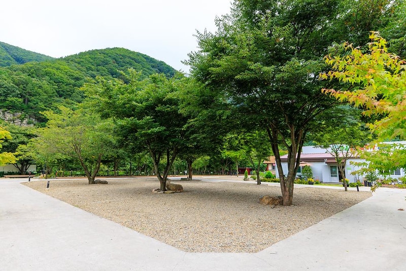 가온오토캠핑장 시설 사진 14