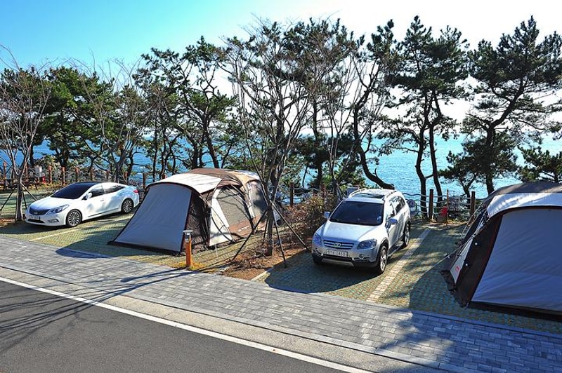 대왕암공원 캠핑장 대표 사진