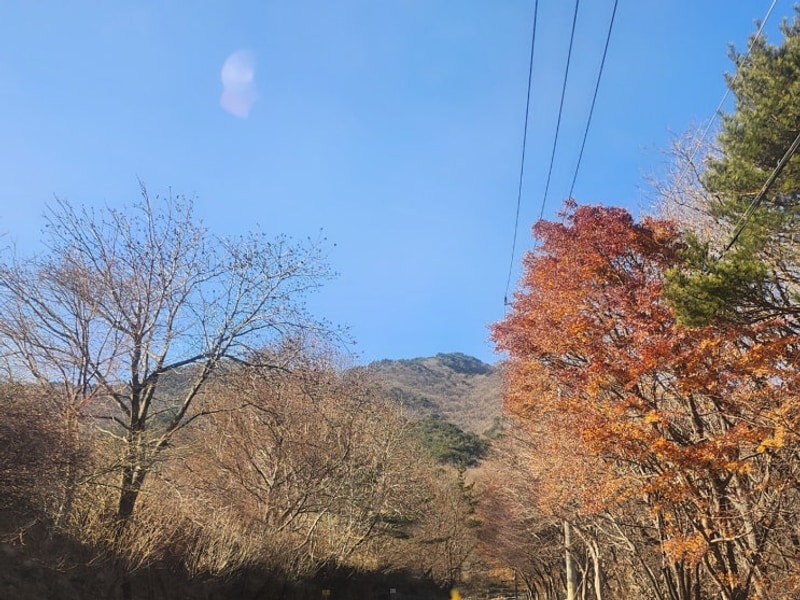 188번째 캠핑 - 청도 늘푸른캠핑장