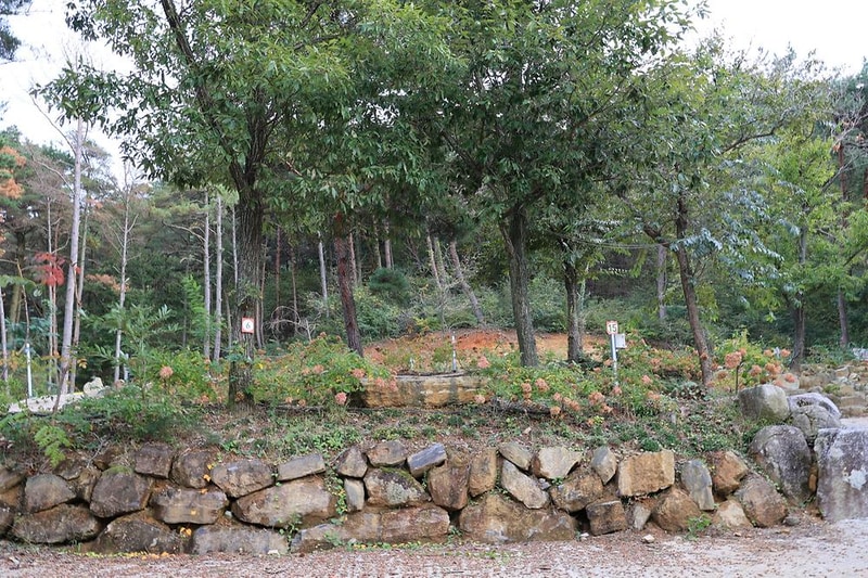 금오산 관광농원 시설 사진 7