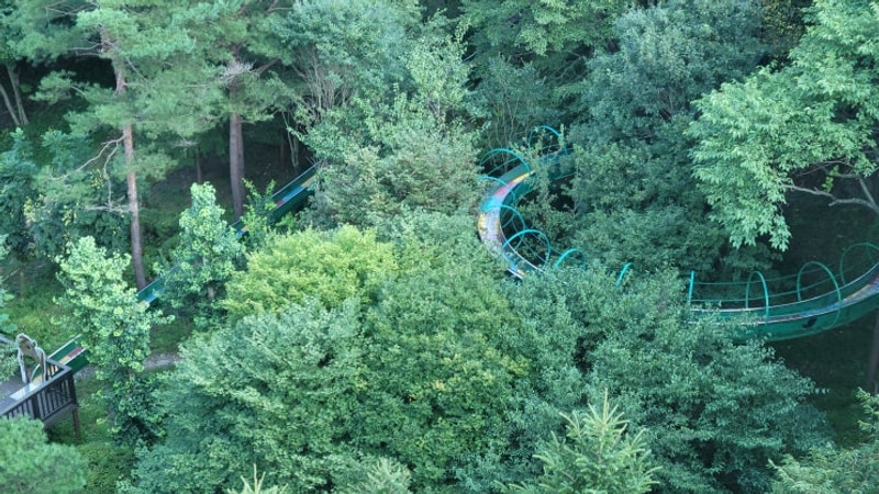 충남 금산산림문화타운 B캠핑장 b16 여름캠핑