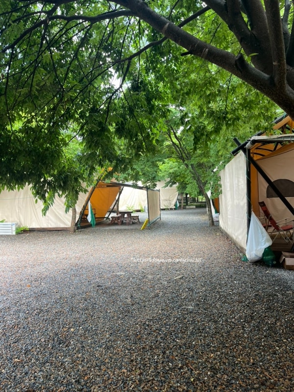 영월 별이빛나는밤에 글램핑 방문 후기 (내돈내산, 영월 글램핑...