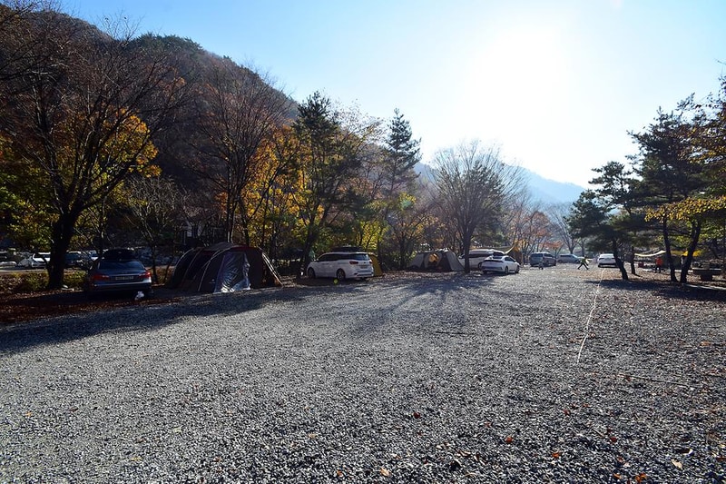 금산산림문화타운 시설 사진 6