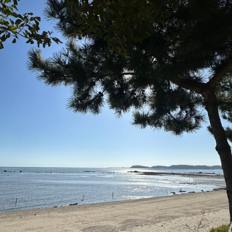 [서천] 해오름관광농원 바다가 보이는 오션뷰 캠핑장