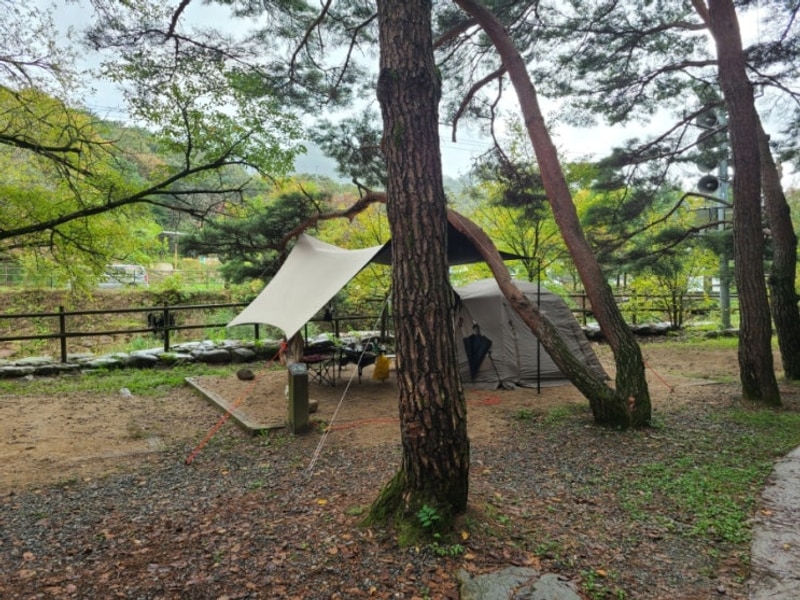 캠핑//월악산국립공원 덕주야영장